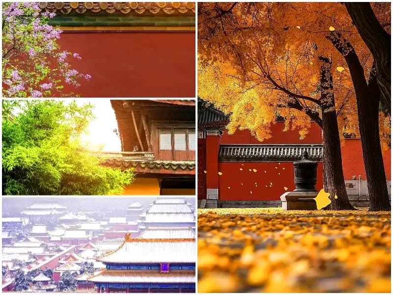 Four Seasons Beauty of Forbidden City